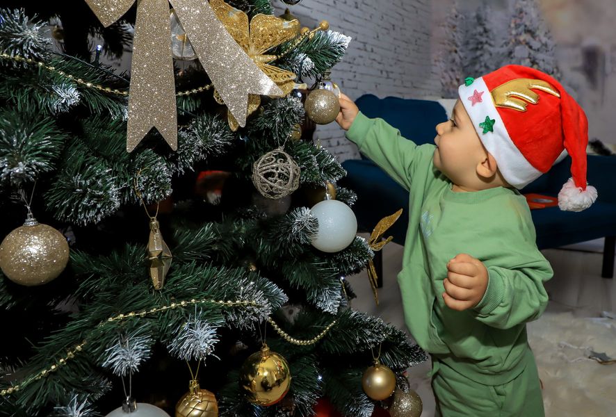Christmas Photo 1